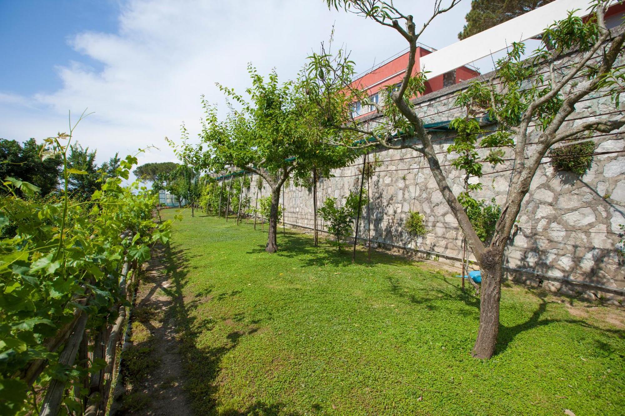 Villa Mambrini Sorrento Exteriör bild